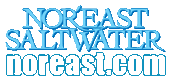 Nor'east Saltwater