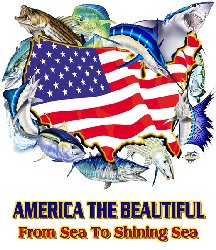 America Tee