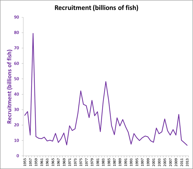 Recruitment data