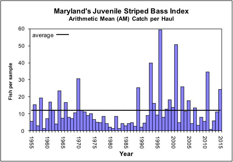 Striped Bass Index