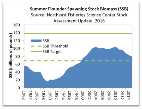 Summer Flounder Spawning Stock Biomass (SSB)